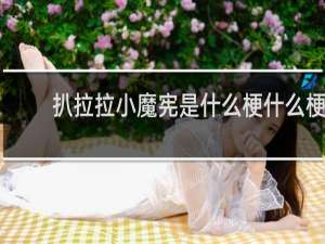 扒拉拉小魔宪是什么梗什么梗
