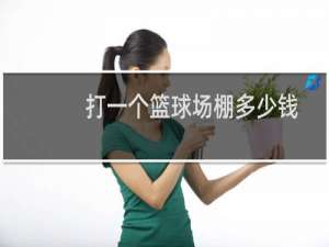 打一个篮球场棚多少钱