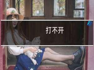 打不开，是解析没生效吗？