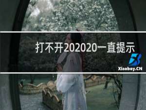 打不开   一直提示链接已重置