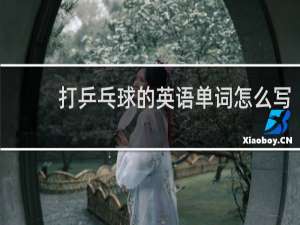 打乒乓球的英语单词怎么写