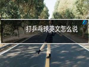 打乒乓球英文怎么说