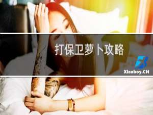 打保卫萝卜攻略