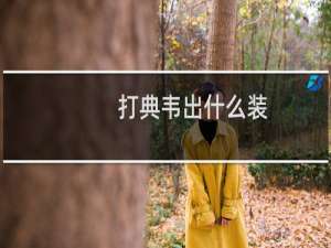 打典韦出什么装