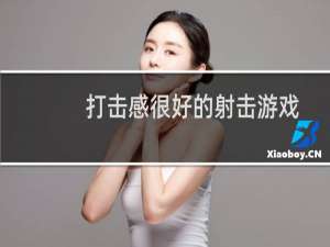 打击感很好的射击游戏