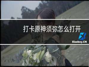 打卡原神须弥怎么打开