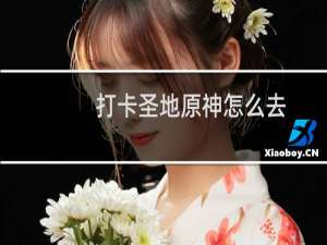 打卡圣地原神怎么去