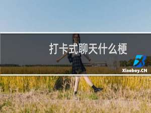 打卡式聊天什么梗？什么梗