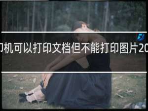 打印机可以打印文档但不能打印图片 你了解吗？