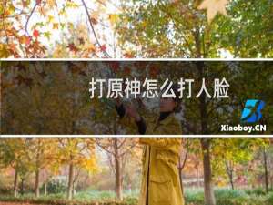 打原神怎么打人脸