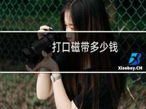 打口磁带多少钱