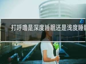 打呼噜是深度睡眠还是浅度睡眠