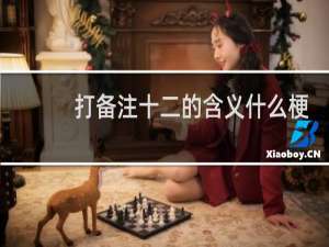 打备注十二的含义什么梗