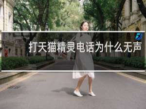 打天猫精灵电话为什么无声