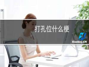 打孔位什么梗？什么梗