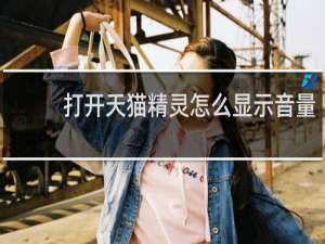 打开天猫精灵怎么显示音量