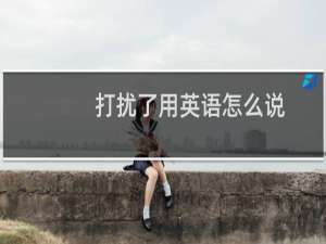 打扰了用英语怎么说