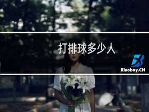 打排球多少人