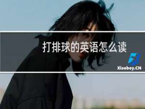 打排球的英语怎么读