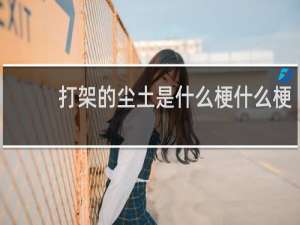 打架的尘土是什么梗什么梗