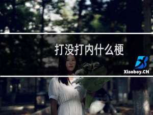 打没打内什么梗