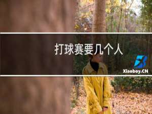 打球赛要几个人