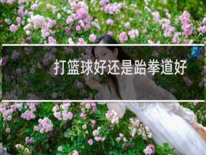 打篮球好还是跆拳道好