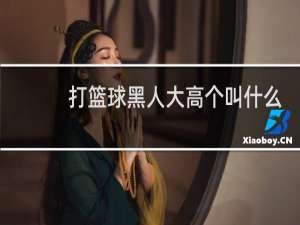 打篮球黑人大高个叫什么