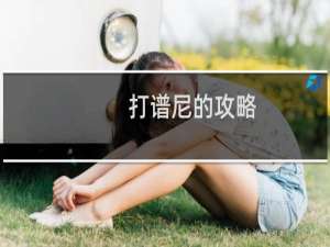 打谱尼的攻略