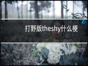 打野版theshy什么梗