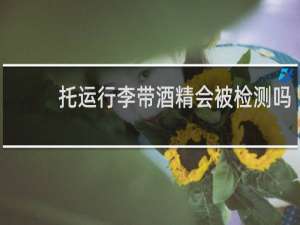 托运行李带酒精会被检测吗