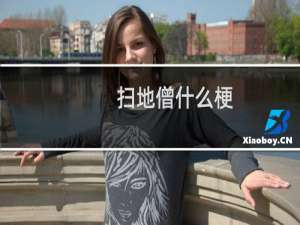 扫地僧什么梗？扫地僧是什么意思什么梗