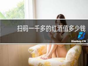 扫码一千多的红酒值多少钱