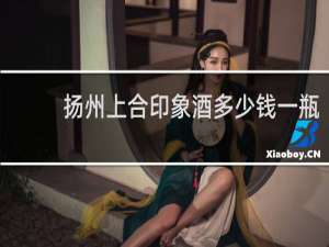 扬州上合印象酒多少钱一瓶