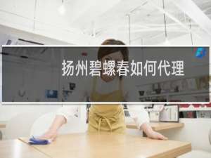 扬州碧螺春如何代理