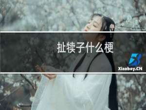 扯犊子什么梗