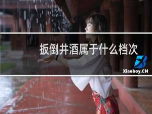 扳倒井酒属于什么档次
