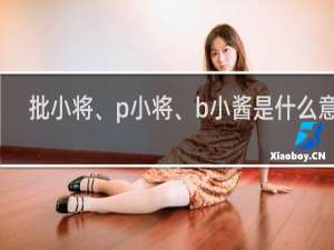 批小将、p小将、b小酱是什么意思，这个梗从哪里来的什么梗