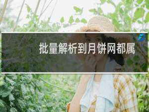 批量解析到月饼网都属于域名滥用？