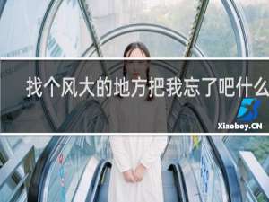 找个风大的地方把我忘了吧什么梗？找个风大的地方把我忘了吧是什么意思什么梗