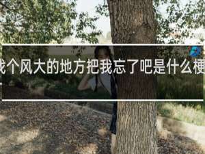 找个风大的地方把我忘了吧是什么梗什么梗