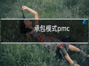 承包模式pmc
