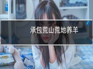 承包荒山荒地养羊
