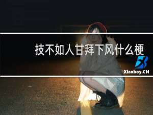 技不如人甘拜下风什么梗