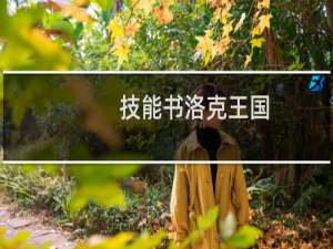 技能书洛克王国