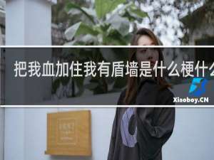 把我血加住我有盾墙是什么梗什么梗