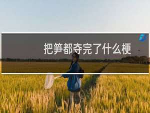 把笋都夺完了什么梗？什么梗