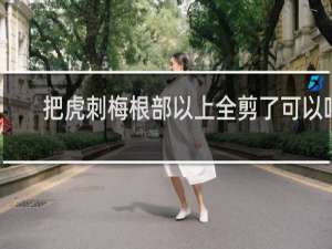 把虎刺梅根部以上全剪了可以吗