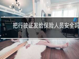 把行驶证发给保险人员安全吗