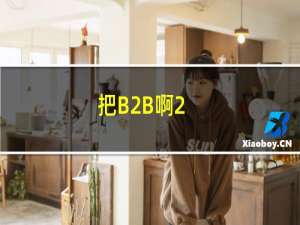 把B2B啊2